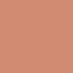 RAL-3012 beige red.jpg